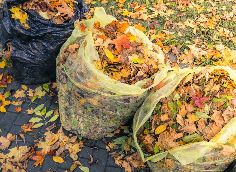 Autumn Leaf Removal in Ventura County, CA