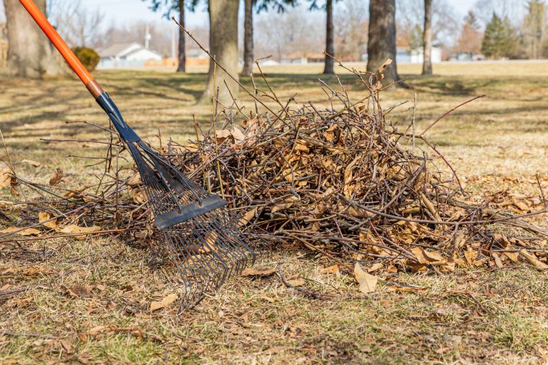 Leaf Cleanup detail
