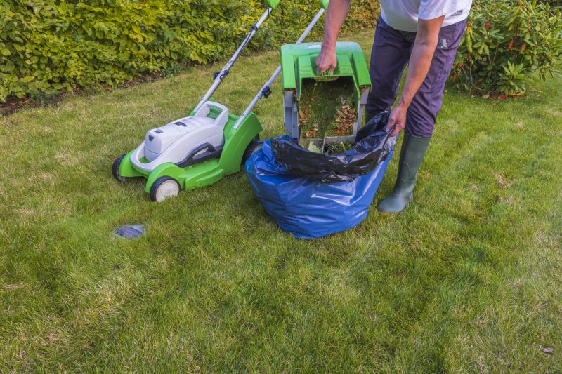 Leaf Removal in Ventura County, CA