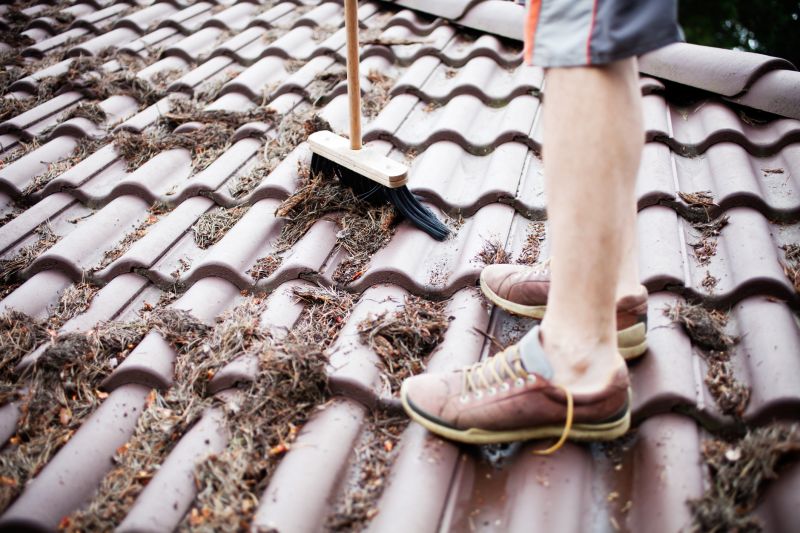 Leaf Removal in Honolulu, HI