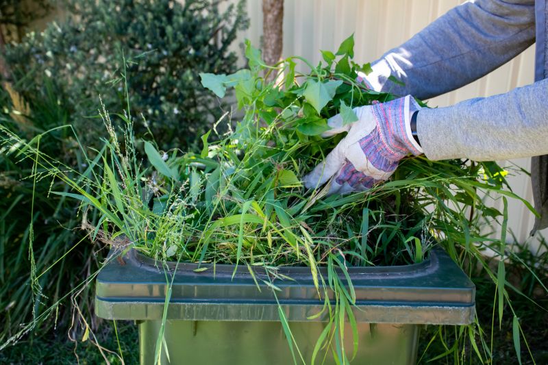Spring Lawn Cleanup in Ventura County, CA