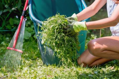 Yard Cleanup Service in Ventura County, CA