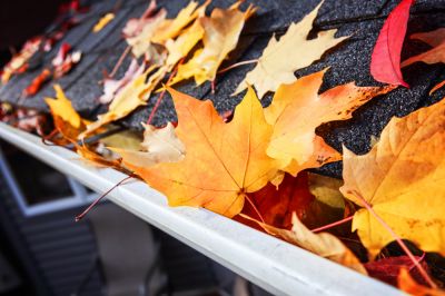 Gutter Leaf Removal