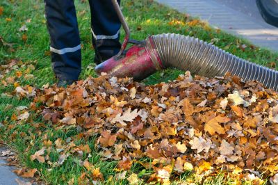 Leaf Vacuuming Service
